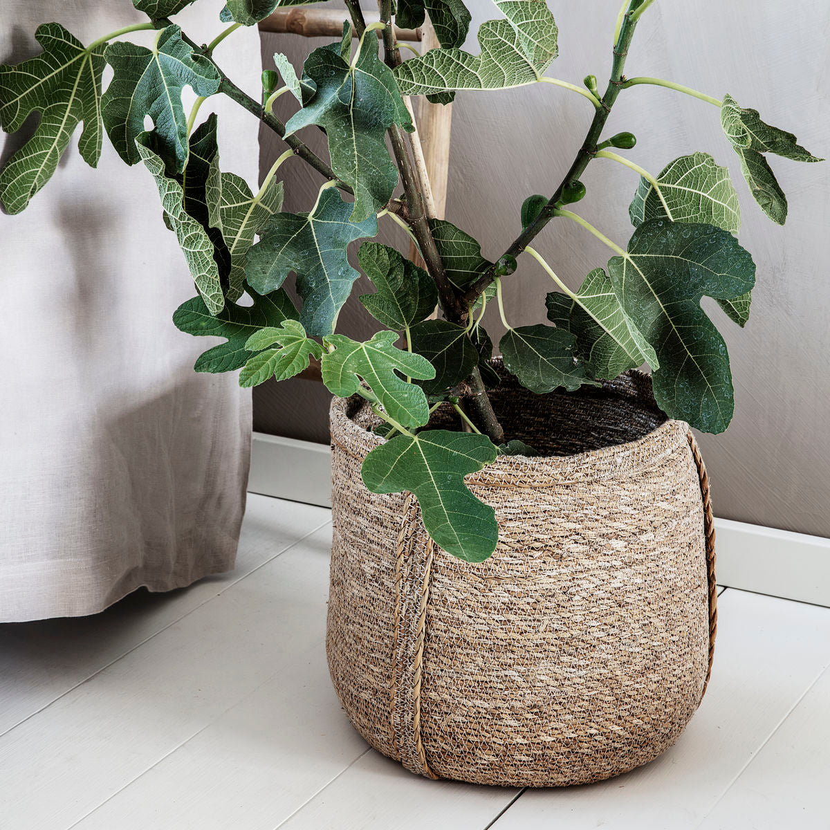 seagrass indoor plant pots SET OF TWO SEAGRASS PLANT BASKETS – NUWE ROAM